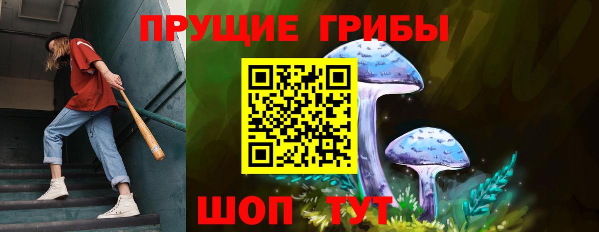 Псилоцибиновые грибы GOLDEN TEACHER Нарткала