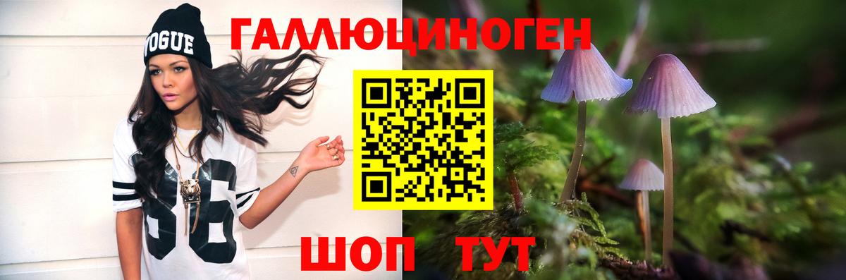 Нарткала  Галлюциногенные грибы MAGIC MUSHROOMS  Вход с VPN 